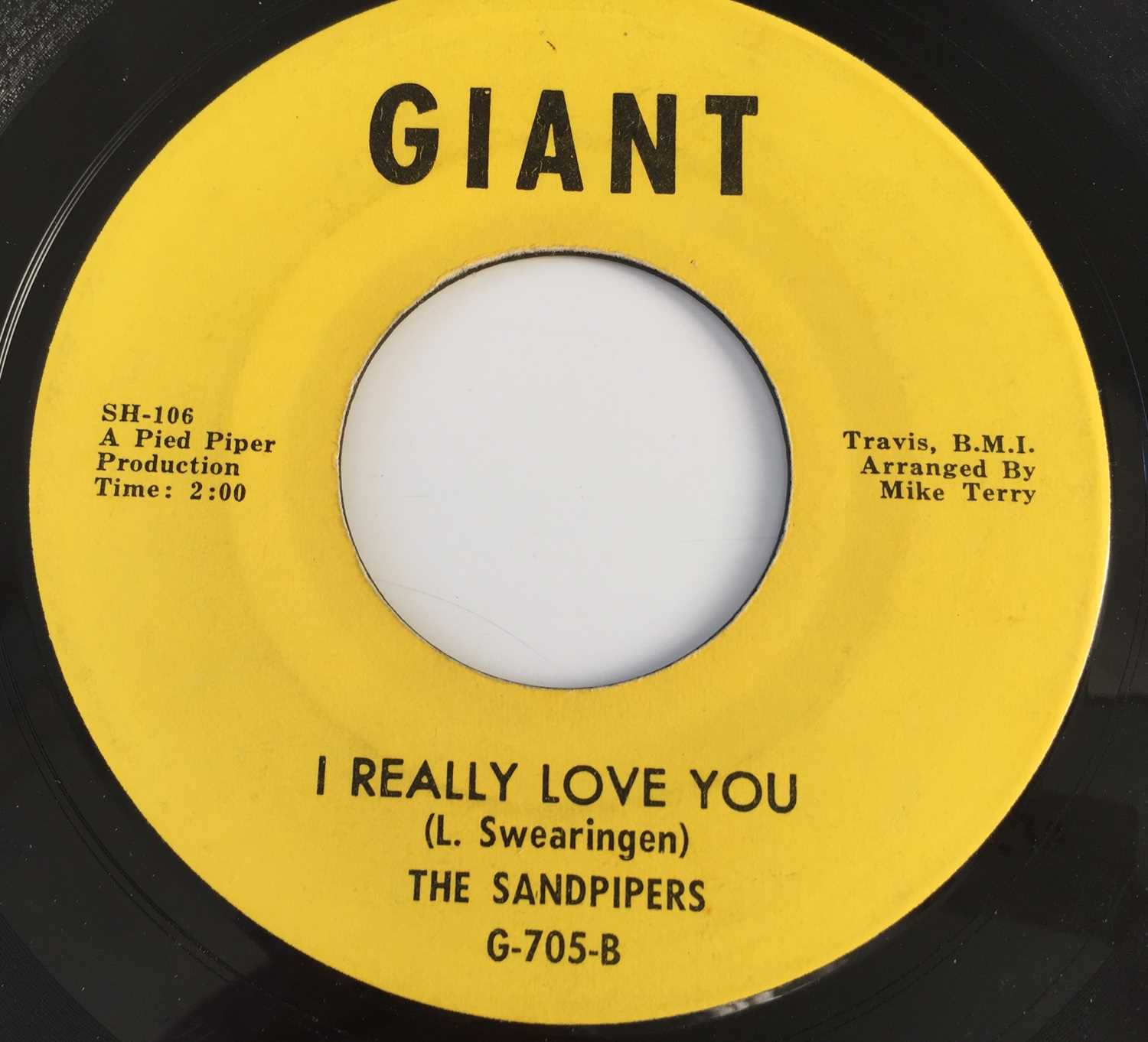 THE SANDPIPERS - I REALLY LOVE YOU/ LONELY TOO YOUNG 7" (US NORTHERN - GIANT G-705)