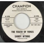 SANDY WYNNS - THE TOUCH OF VENUS 7" (US PROMO - CHAMPION 14001)