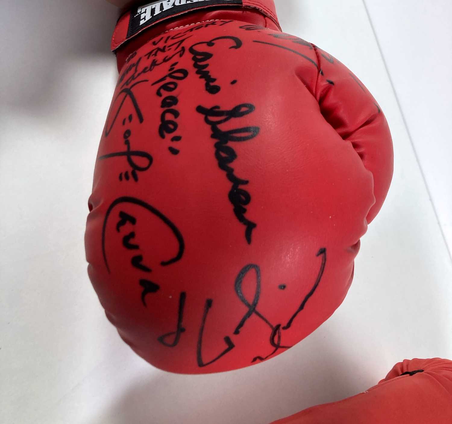 BOXING MEMORABILIA - SIGNED GLOVES INC KLITSCHKO. - Image 3 of 7