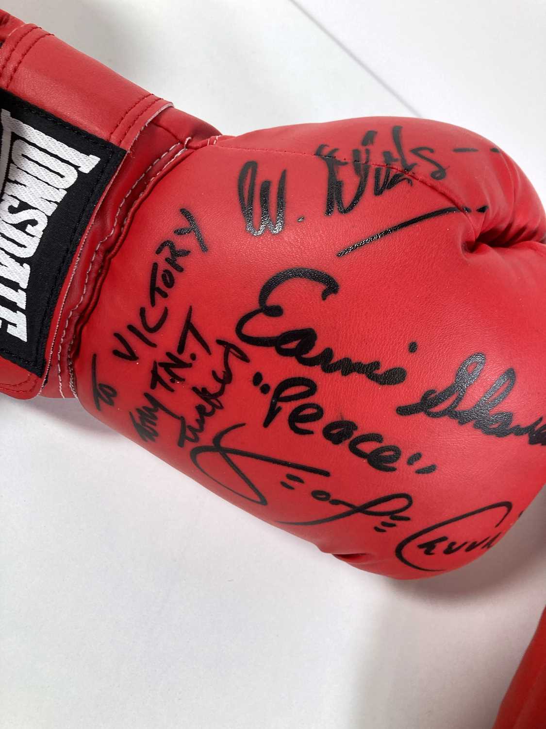 BOXING MEMORABILIA - SIGNED GLOVES INC KLITSCHKO. - Image 4 of 7