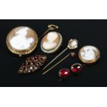A collection of cameo and garnet jewellery. To include brooches, buttons and stick pins.