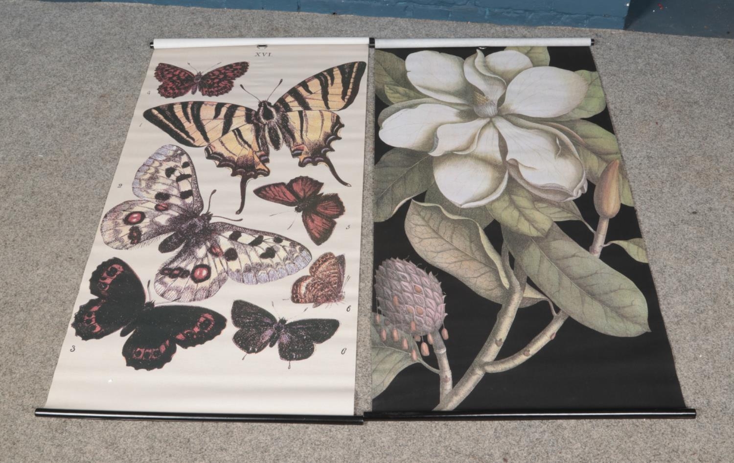 Two canvas poster scrolls depicting nature sketches including butterflies and flowers. Approx.