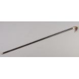An ebony walking cane with horn handle. (87cm)