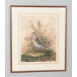 Gordon Chell, a large framed watercolour, study of a thrush. 45cm x 35cm.