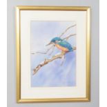 Gordon Chell, a gilt framed watercolour, study of a kingfisher on a branch. 33cm x 23cm.