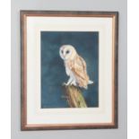Gordon Chell, a framed watercolour, study of an owl on a branch. 31cm x 23cm.