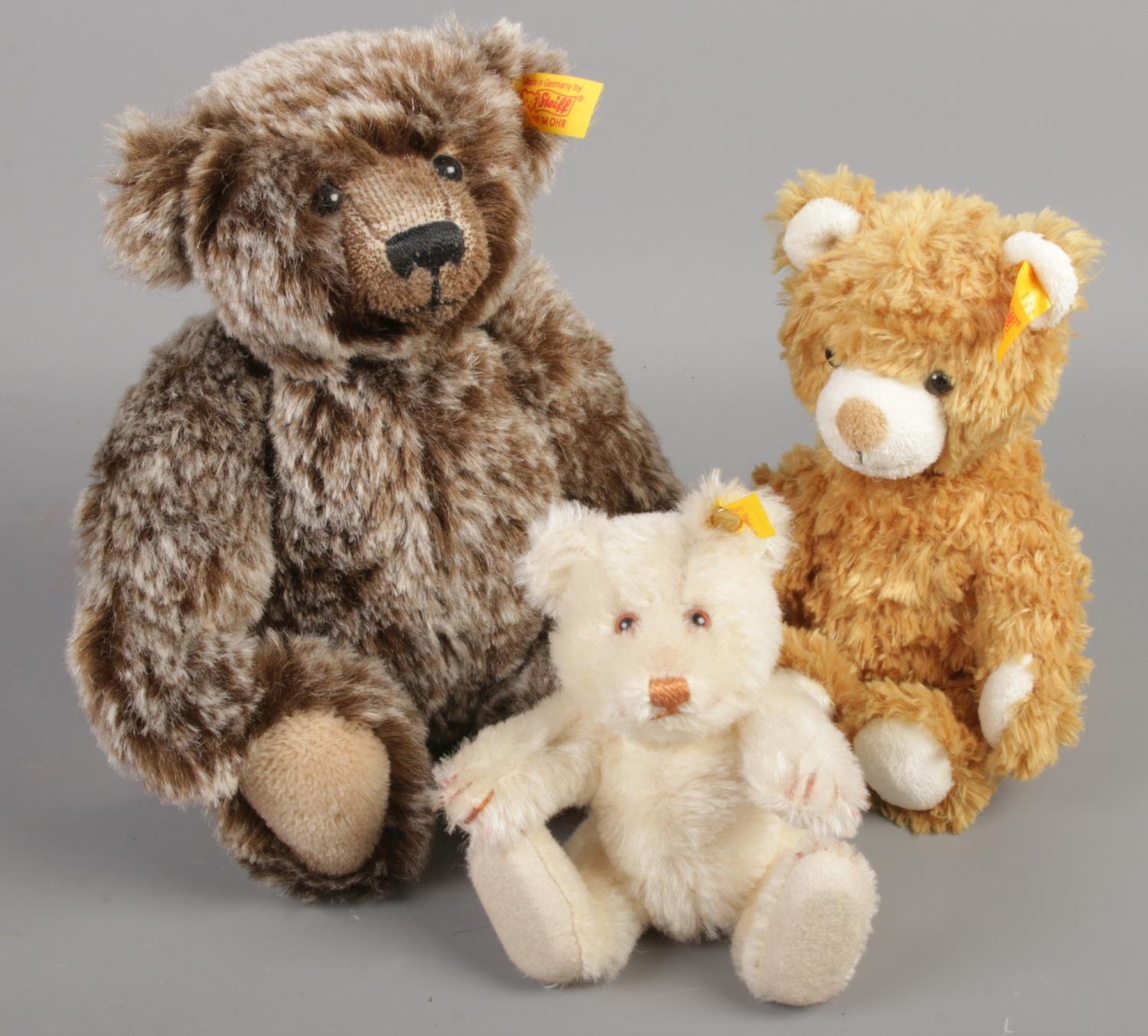 Three Steiff bears all with button to the ear.