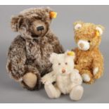 Three Steiff bears all with button to the ear.