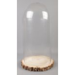 A large modern glass display dome, on natural log slice base. Height: 53cm