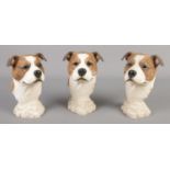 Three Sherratt and Simpson resin dog busts, 55159. Nibble to the back of one example and to the