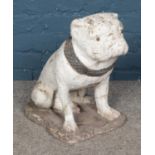 Reconstituted stone painted bull dog with studded collar Hx45cm
