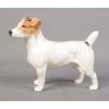 A Beswick figure of a Jack Russell Terrier.