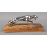 Jaguar mascot mounted on a wooden plinth base.