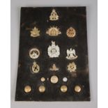 A board of military cap badges including RAF, Australian Commonwealth and Scottish Kings Borderers