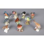 Eight Beswick bird figures along with Royal Worcester and Goebel examples. Includes Kingfisher, Grey