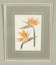 Margaret E Ryder (1908-1998), A framed watercolour, still life Strelitzia flowers. (37cm x 27cm)