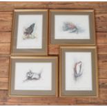 After Ben Maile (1922-2017) four signed prints of Badger, Otter, Osprey & Blackcock