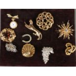 A tray of costume brooches. Includes horse shoe, filigree, paste set example, etc.