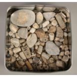 A tin of fossils and geological specimens.