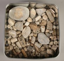 A tin of fossils and geological specimens.