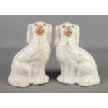 A pair of Victorian Staffordshire pottery mantel dogs. Height 23cm.