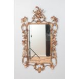An ornate gilt framed wall mirror. Height: 105cm, Width: 57cm.