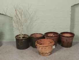 A collection of terracotta garden planters including textured examples.