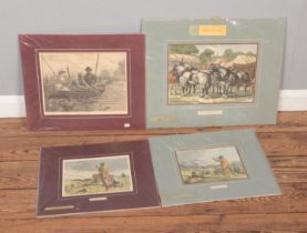 A collection of engravings to include Harrison Weir and hand coloured Samuel Carter examples. All