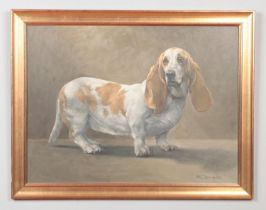 Peter Kenneth Cowley Jackson, a framed oil on panel, study of a Bassett Hound. Signed PKC Jackson