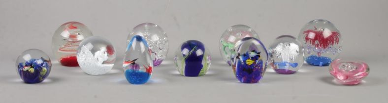 Eleven glass paperweights, to include Caithness, fish and animal examples.