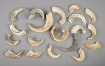 A quantity of antler and horn pieces, CANNOT POST OVERSEAS.