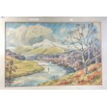 TJ BERTRAM LOCAL BORDER INTEREST CABERTSON HILL AND TWEED VALLEY HOLYLEE large original