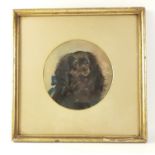 A small Victorian watercolour depicting a dark-haired King Charles cavalier with a large, blue,