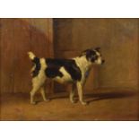 British School (19th century) Portrait of a dog