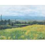 Ian Fennelly (British 20th/21st century) "Rapeseed Field, Burton" and another depicting trees and a