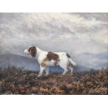 English School (19th/20th century) Portrait of a dog in a moorland landscape