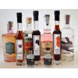7 bottles Mixed Lot Fine Gins and Liqueurs