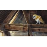Dr. Jeremy Paul (British 1954-) "Barn Owl"
