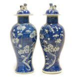 Pair of Chinese vases,