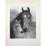 After Heywood Hardy (British 1842-1933) "Mare and Foal"