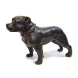 Mid 20th century bronze and plaster figure of a Staffordshire Bull Terrier