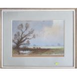 Hipkiss, pastel, cattle in landscape, 12ins x 17.5ins