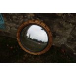 A circular convex gilt mirror with reeded ebonised slip and ball decoration. Mirror Diameter 17