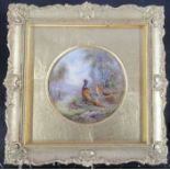 A framed Royal Worcester circular plaque, painted with pheasants in a wooded landscape by Jas