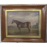 A 19th century oil on board, portrait of a horse in landscape, 9.5ins x 12ins
