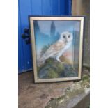 A Victorian taxidermy of a barn owl, in case with label, These specimens are subject to CITES and