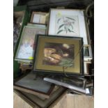 A box of assorted prints and pictures