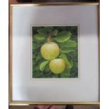 Nigel Ashcroft, two watercolours, Autumn Fruit Apples, 8ins x 7ins, and Doorsteps Aubeterre, 5.