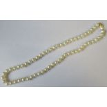 A cultured pearl necklace, of creamy white pearls approx. 7.0mm to 7.50mm diameter with 14k '