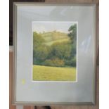Kevin Hughes, watercolour, rural landscape, 15ins x 11ins